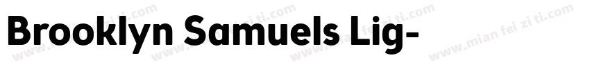 Brooklyn Samuels Lig字体转换